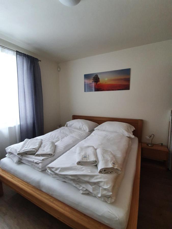 Apartman Praded V Rickach - Ricky V Orlickych Horach Dış mekan fotoğraf