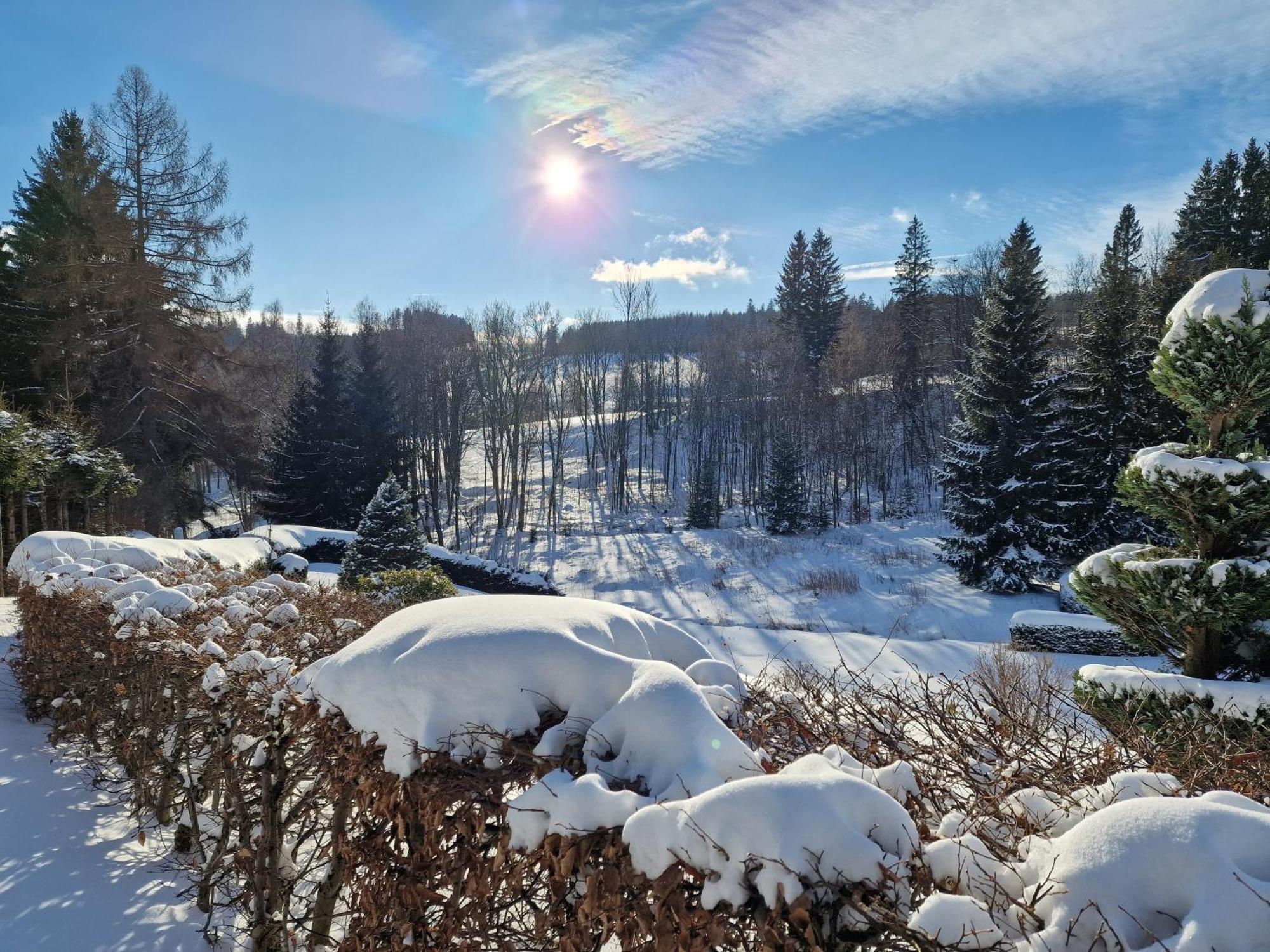 Apartman Praded V Rickach - Ricky V Orlickych Horach Dış mekan fotoğraf